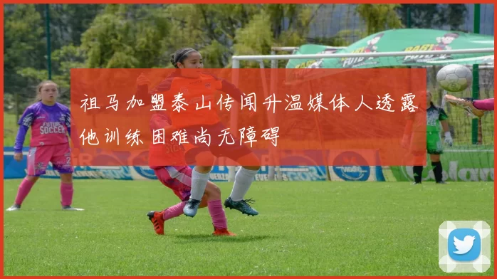 祖马加盟泰山传闻升温媒体人透露他训练困难尚无障碍